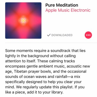 Pure Meditation